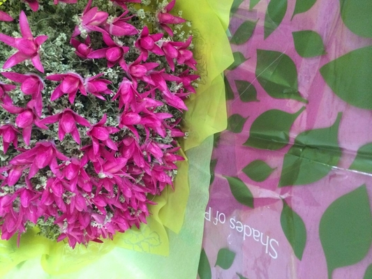 Τα τυπωμένα μη υφανθε'ντα μανίκια λουλουδιών κυλούν το χονδρικό εμπόριο για τα φρέσκα λουλούδια/το τύλιγμα γαμήλιων δώρων